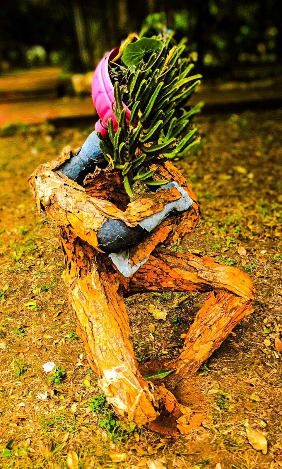 Potman